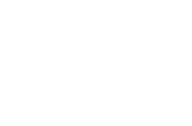 Logo Steuerberater Scholz mit Icon